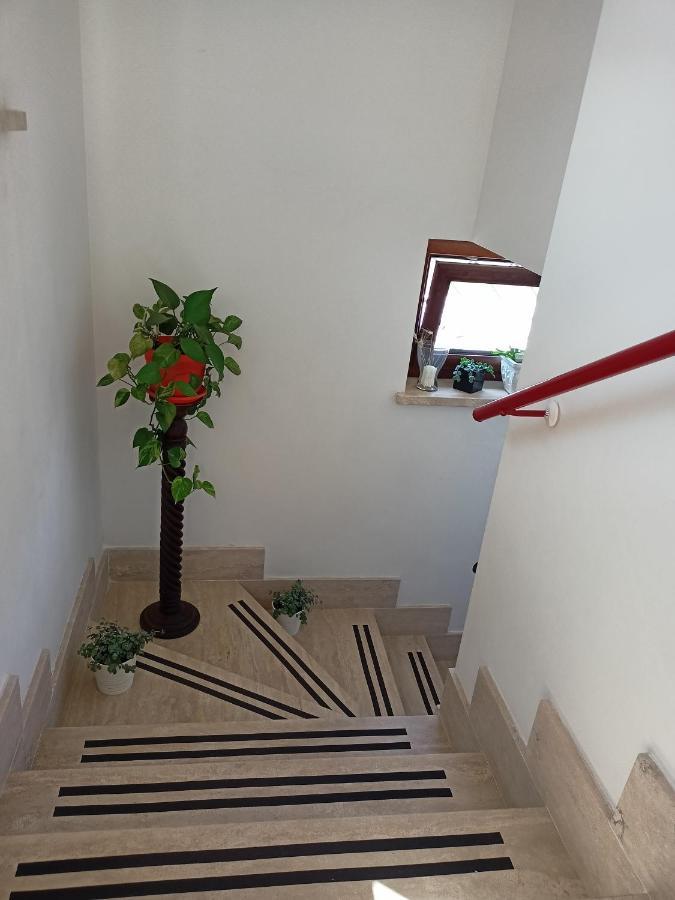 Il Faggio 17 B&B Артена Екстер'єр фото