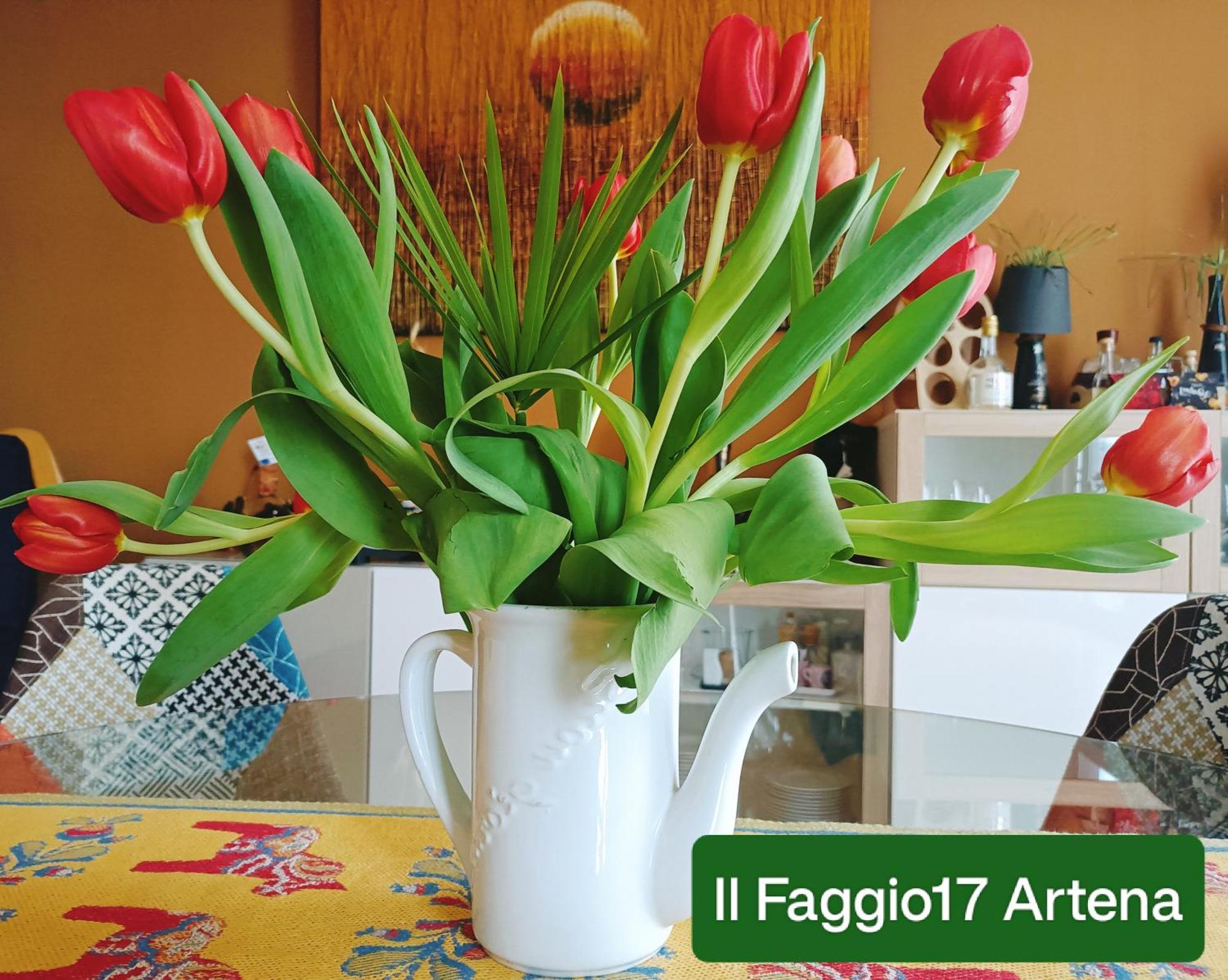 Il Faggio 17 B&B Артена Екстер'єр фото