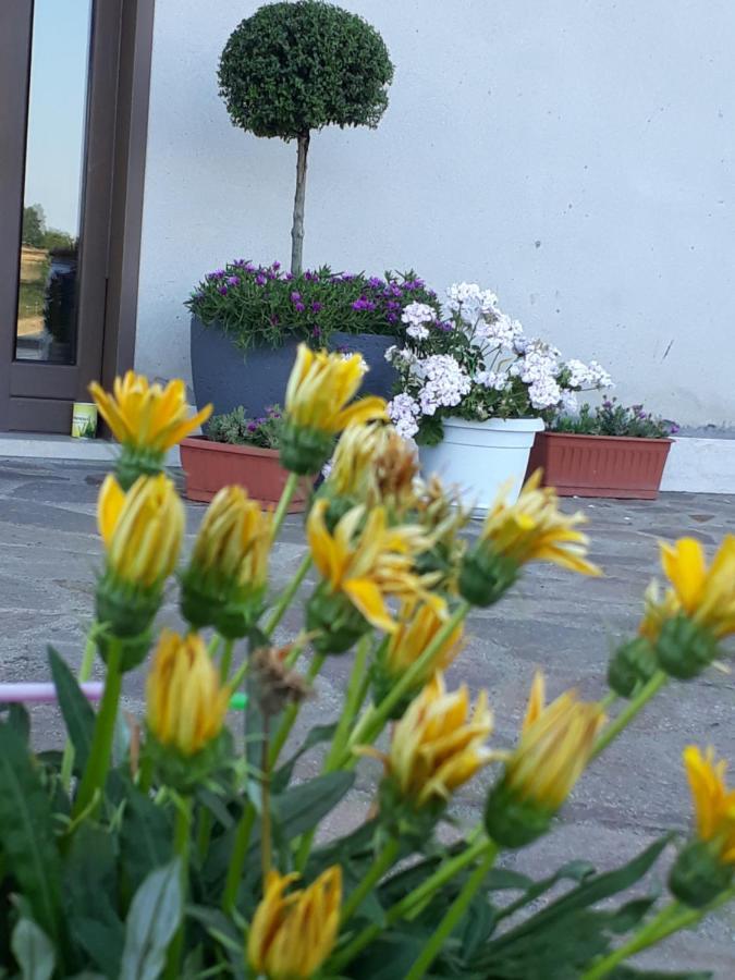 Il Faggio 17 B&B Артена Екстер'єр фото